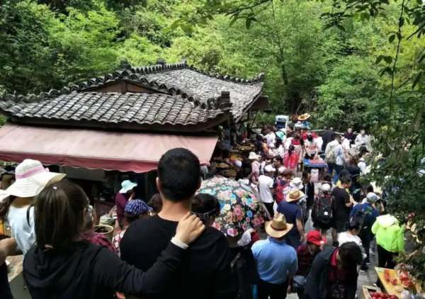 物联网与大数据技术结合，实现客流精准预测，优化资源配置，提升运营效率。
